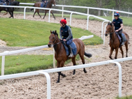 BP140425-21 - Squire Danagher (red hat)